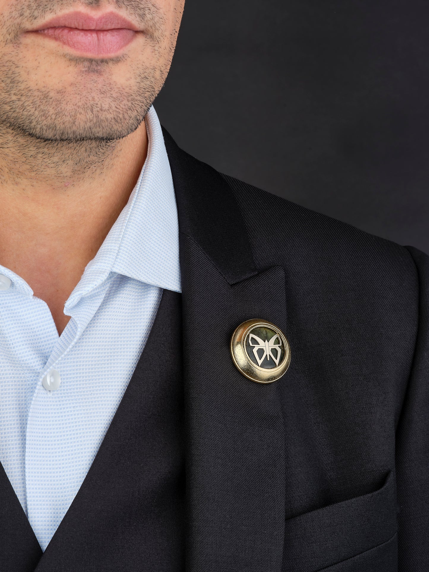 Broche "Révélation" - Papillon/Labradorite